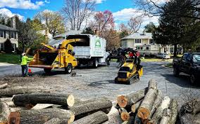 Best Tree Risk Assessment  in Howard Lake, MN